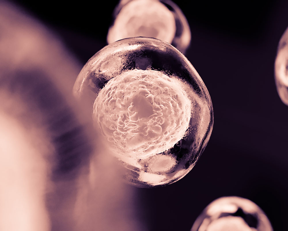 amniotic-membrane-allografts-what-are-they