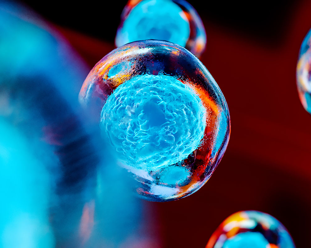 understanding-the-use-of-growth-factors-in-regenerative-medicine