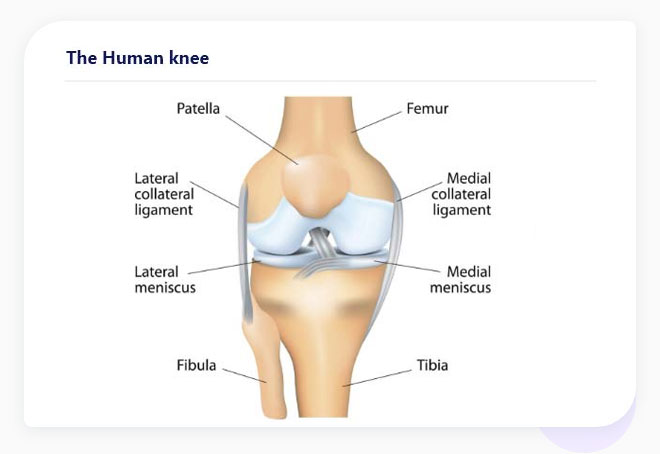 Shoulder pain