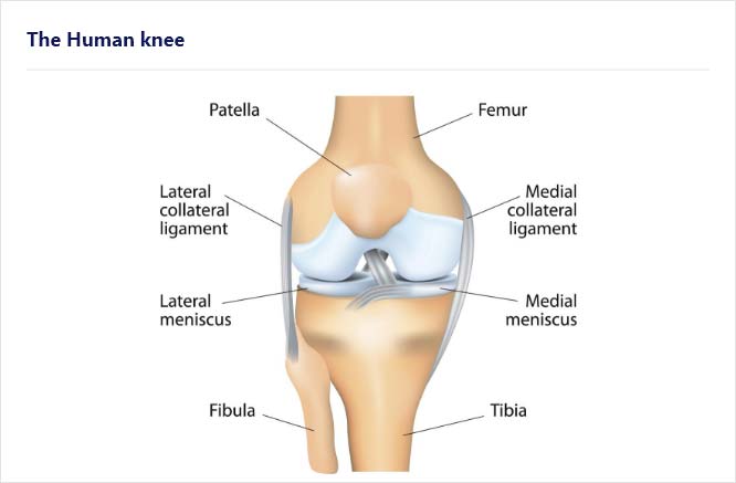 Shoulder pain