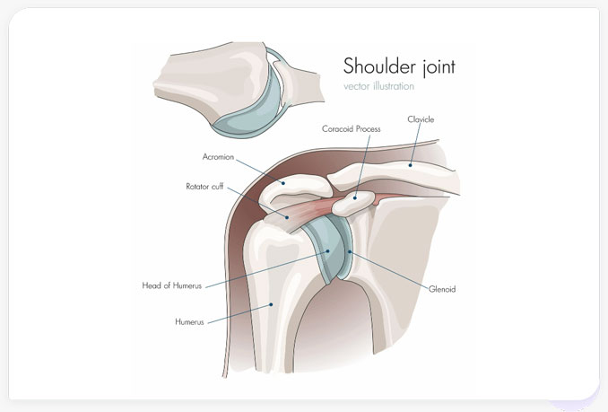 Chronic Injury